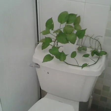 Apartamento Amoblado Centro Historico *